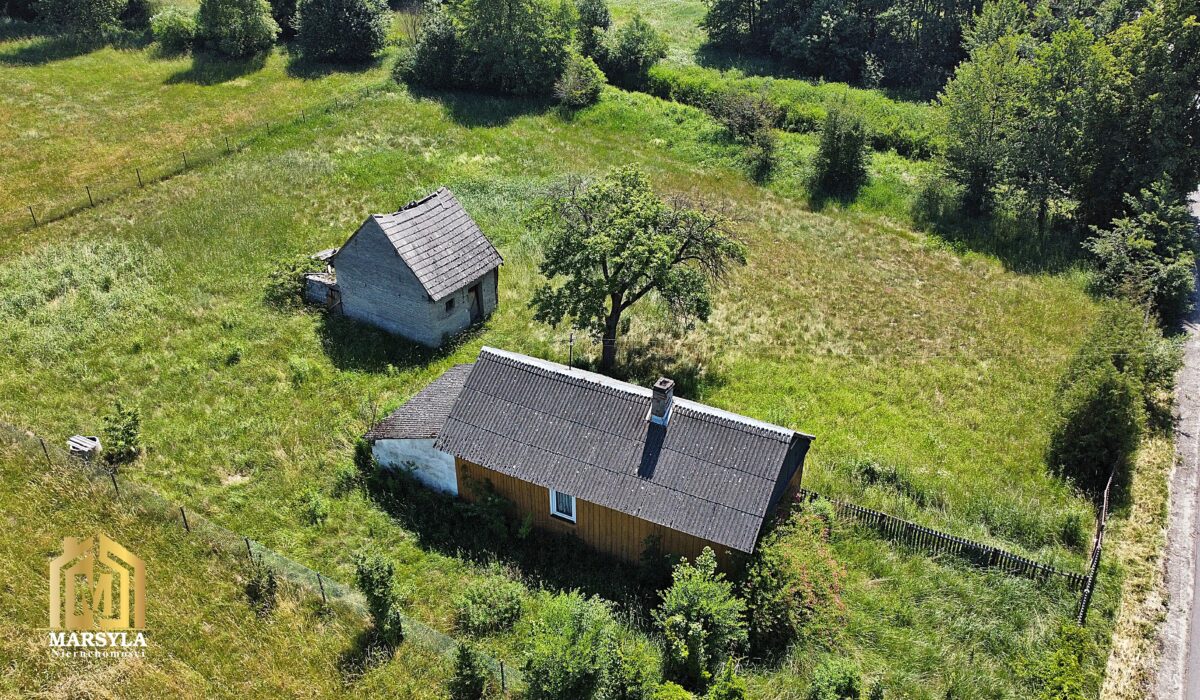 dji_fly_20260626_104236_142_1782463406224_photo_optimized