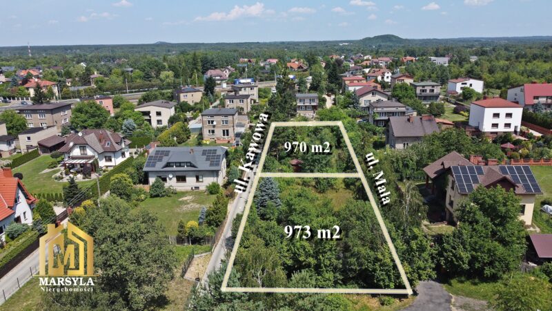 DCIM100MEDIADJI_0233.JPG